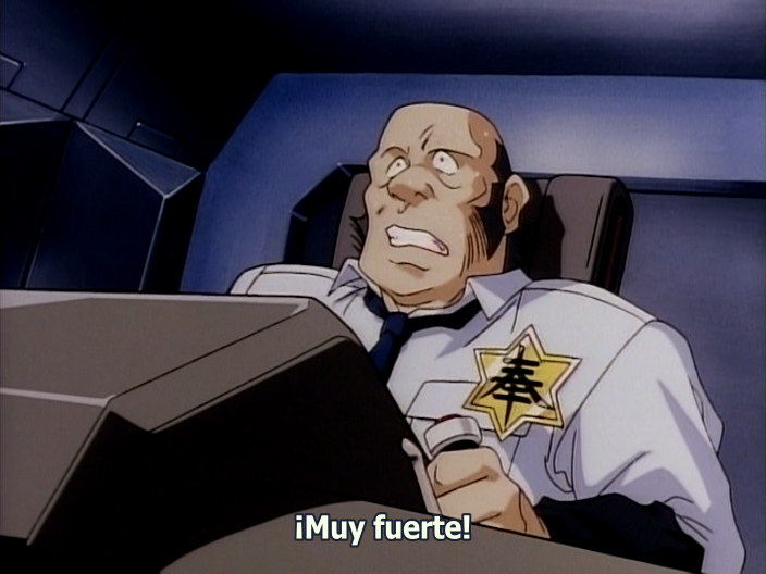 Sailor Victory (Fansubber)